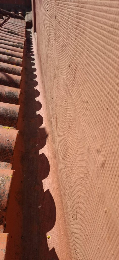 WhatsApp Image 2026 08 29 at 12.35.19 (1)